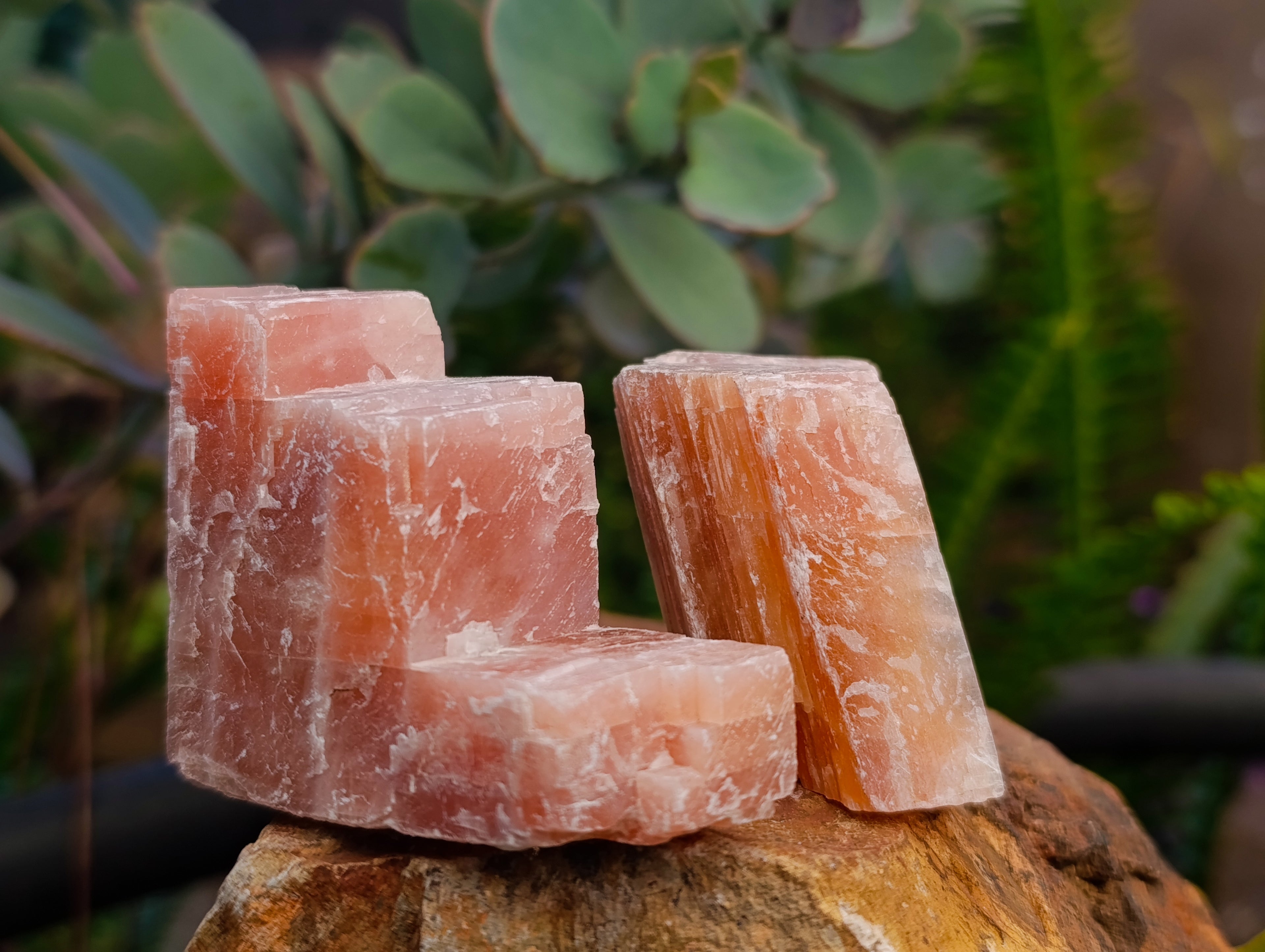 Natural Rhombohedral Sunset Orange Calcite Specimens x 24 From Spitzkop, Namibia - Toprock Gemstones and Minerals 