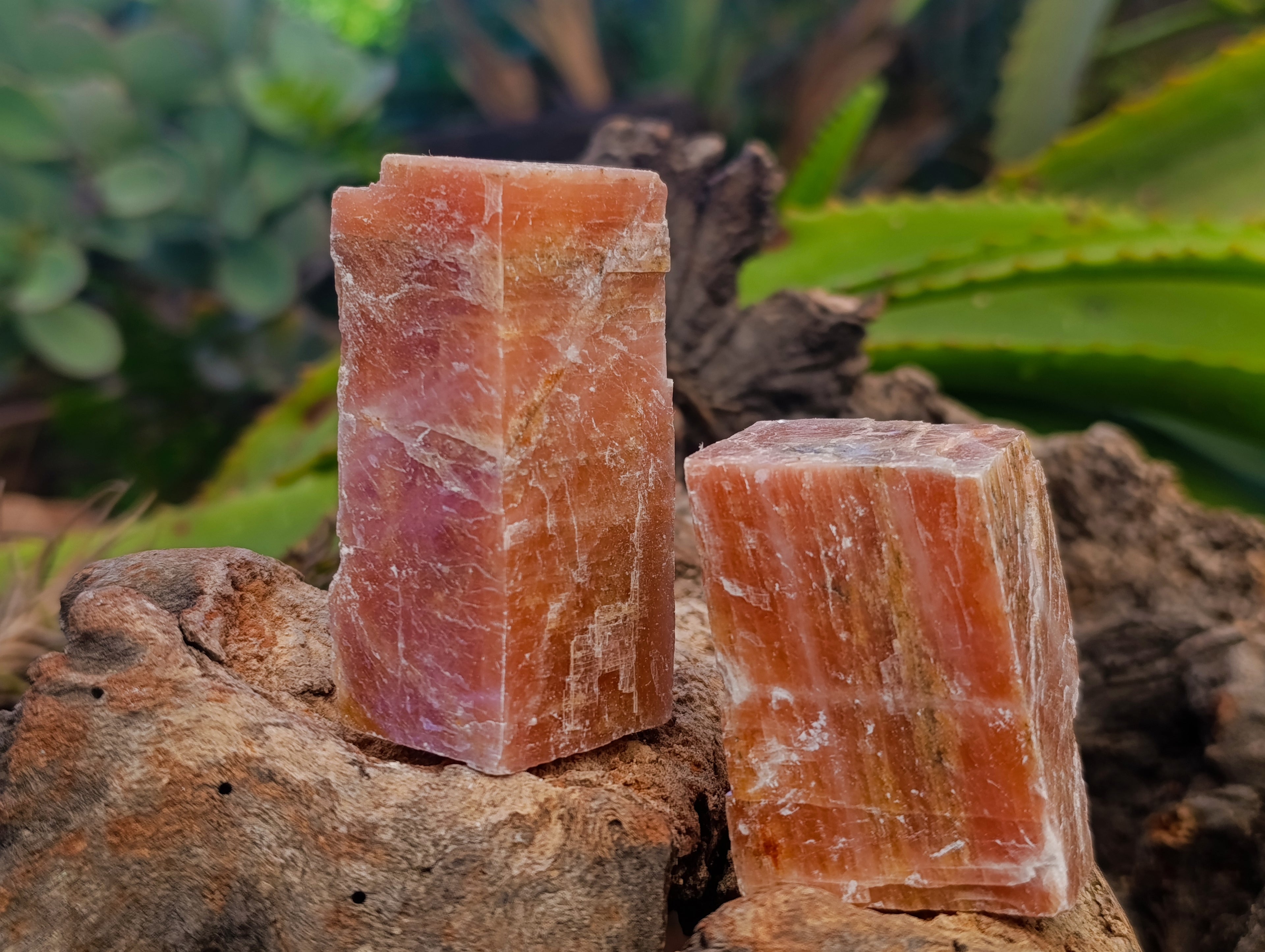 Natural Rhombohedral Sunset Orange Calcite Specimens x 24 From Spitzkop, Namibia - Toprock Gemstones and Minerals 