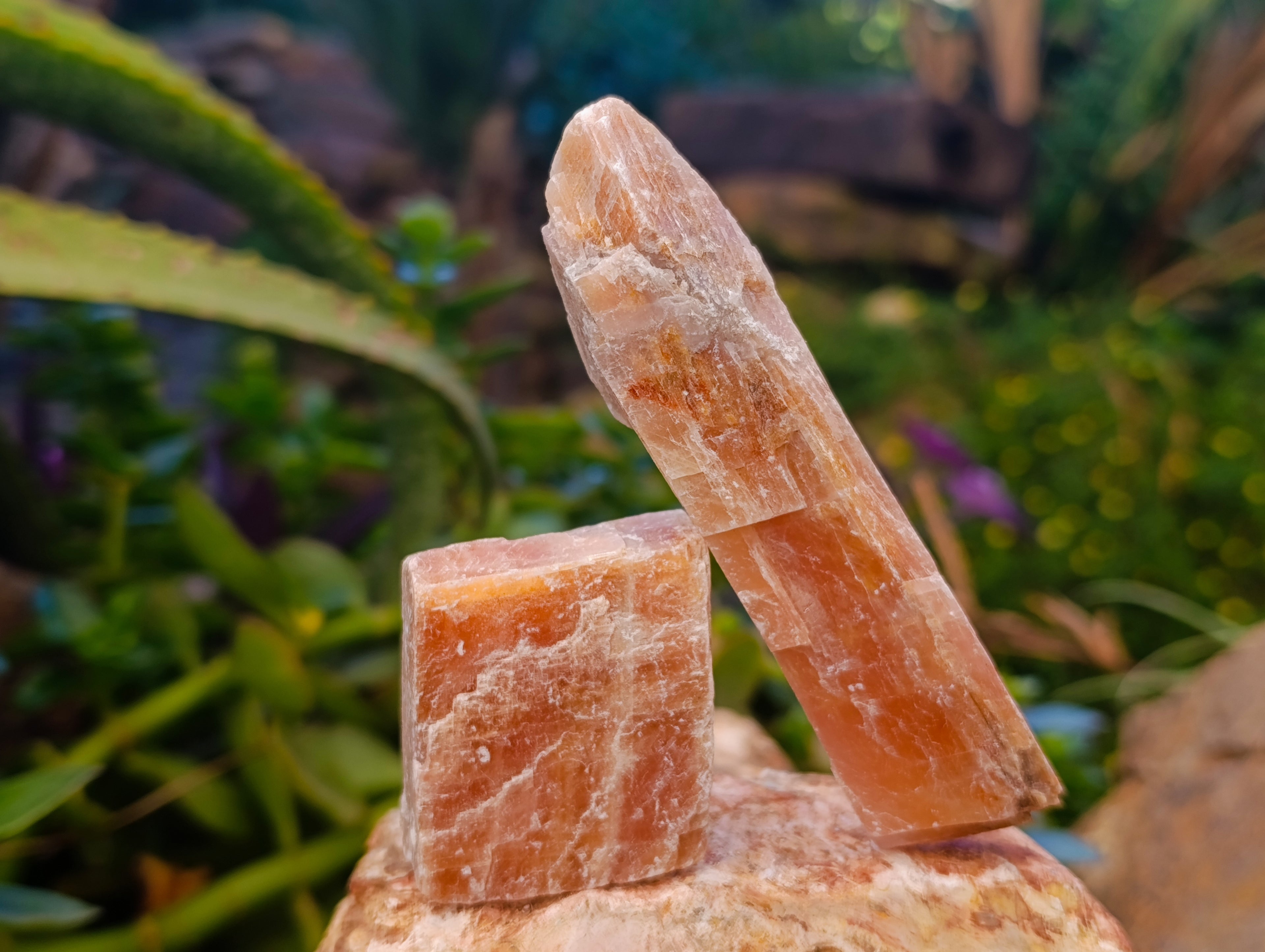 Natural Rhombohedral Sunset Orange Calcite Specimens x 24 From Spitzkop, Namibia - Toprock Gemstones and Minerals 