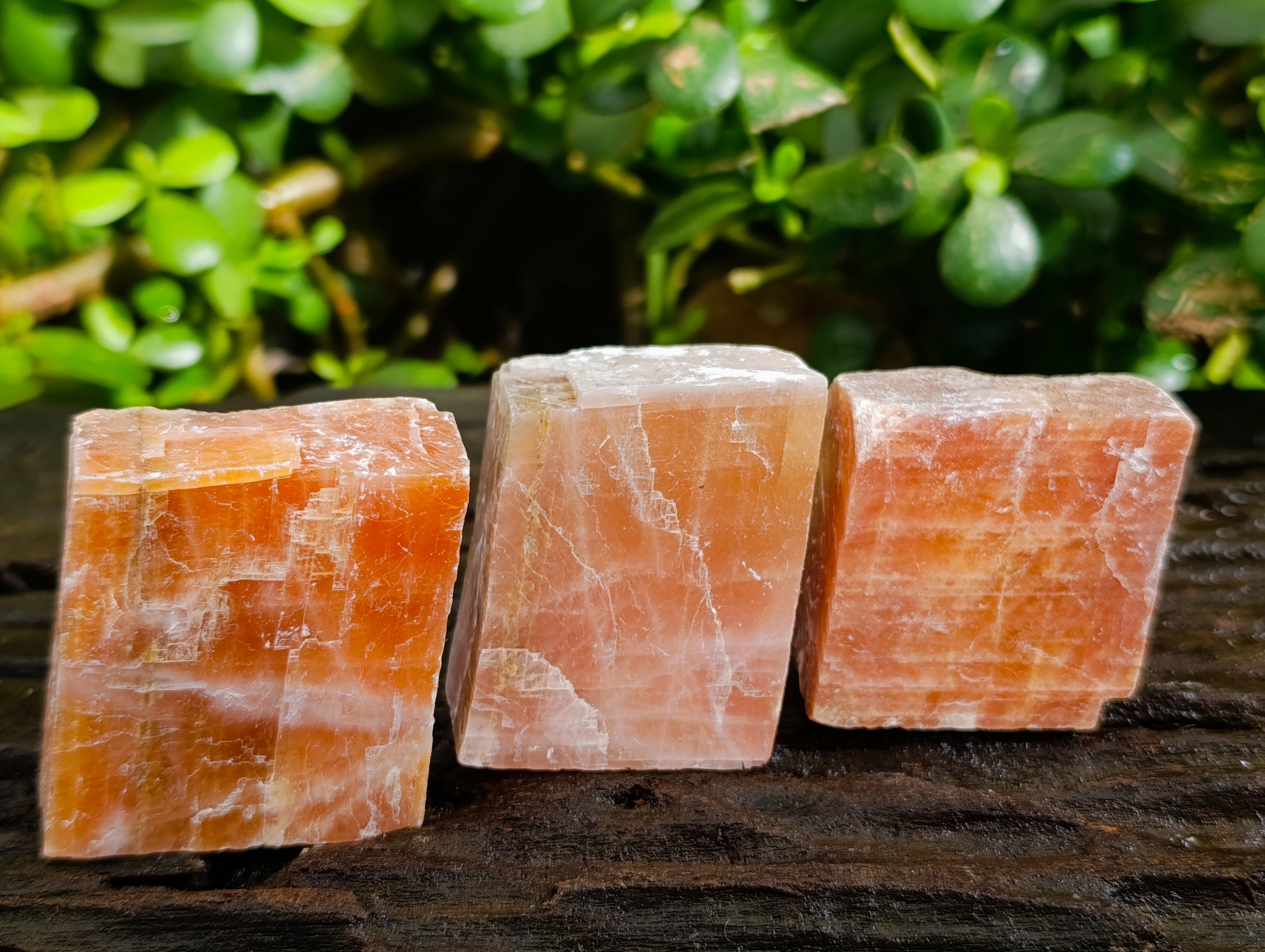 Natural Rhombohedral Sunset Orange Calcite Specimens x 24 From Spitzkop, Namibia - Toprock Gemstones and Minerals 