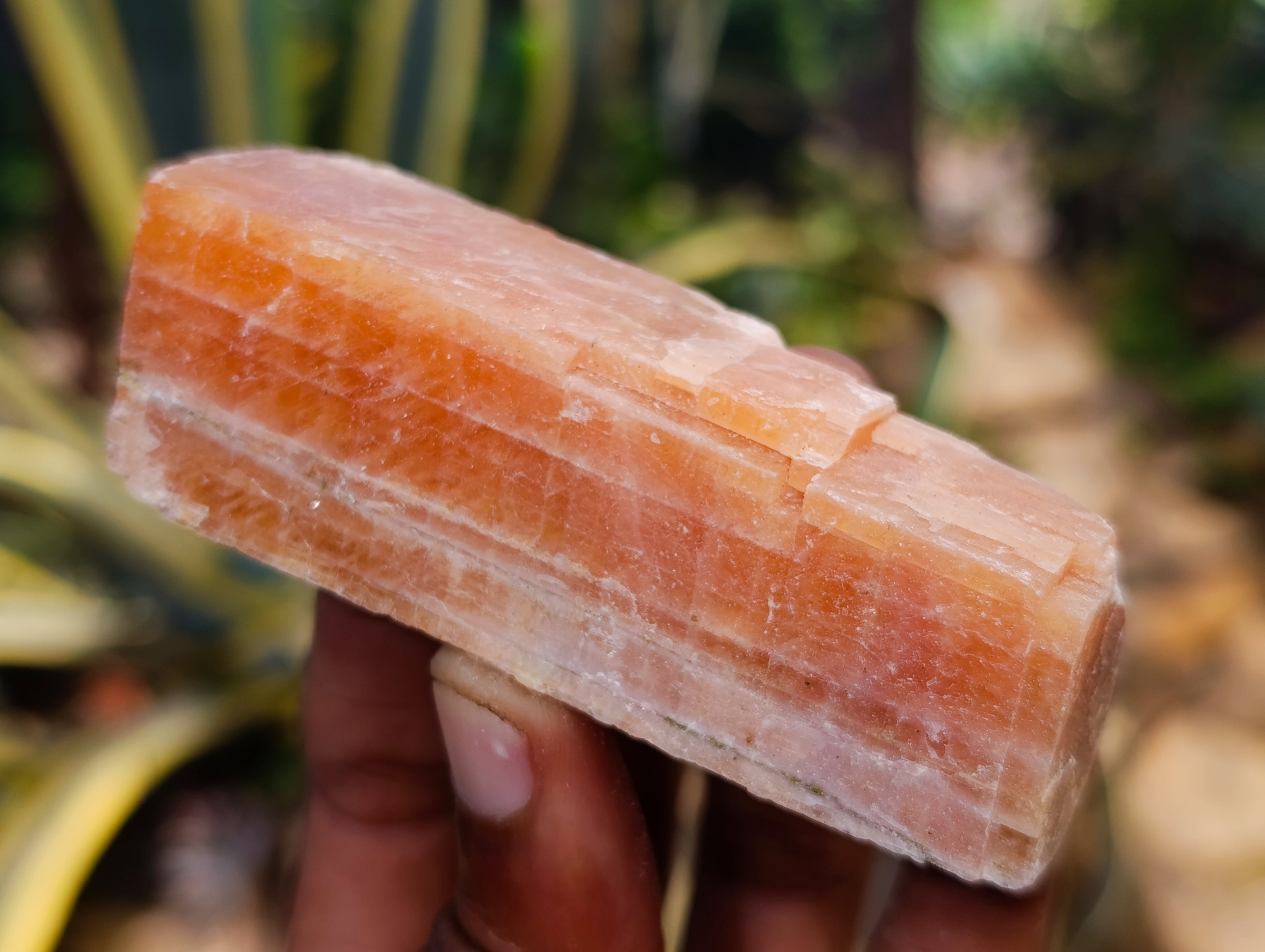 Natural Rhombohedral Sunset Orange Calcite Specimens x 24 From Spitzkop, Namibia - Toprock Gemstones and Minerals 