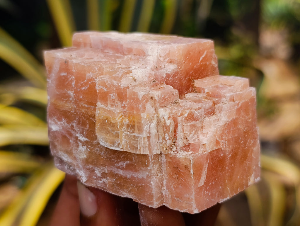 Natural Rhombohedral Sunset Orange Calcite Specimens x 24 From Spitzkop, Namibia - Toprock Gemstones and Minerals 