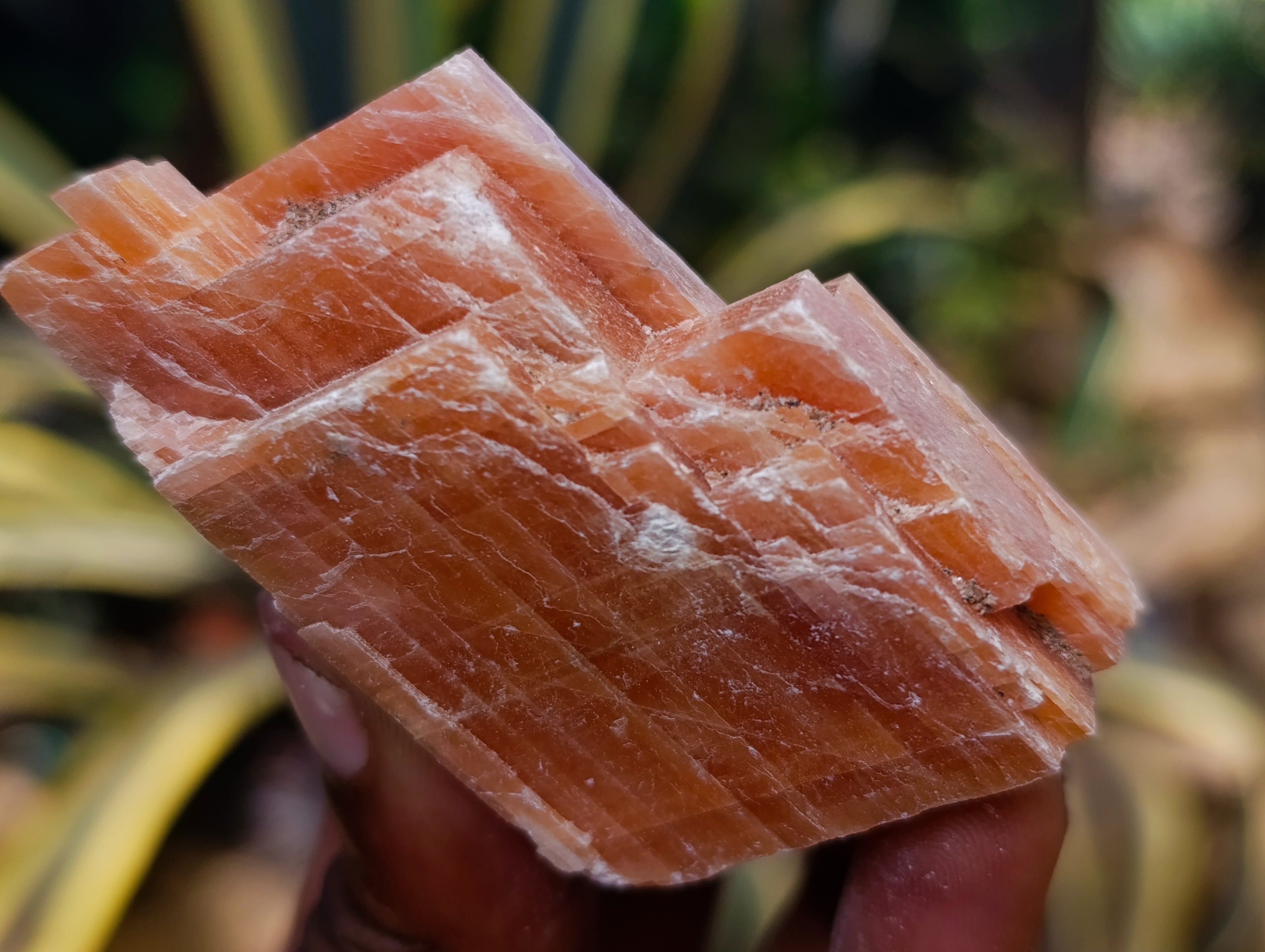 Natural Rhombohedral Sunset Orange Calcite Specimens x 24 From Spitzkop, Namibia - Toprock Gemstones and Minerals 