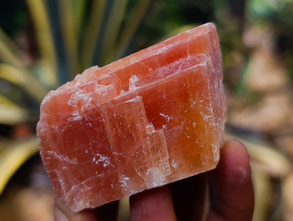 Natural Rhombohedral Sunset Orange Calcite Specimens x 24 From Spitzkop, Namibia - Toprock Gemstones and Minerals 