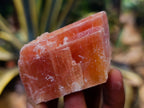 Natural Rhombohedral Sunset Orange Calcite Specimens x 24 From Spitzkop, Namibia - Toprock Gemstones and Minerals 