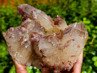 Natural Red Hematoid Quartz Clusters x 2 From Karoi, Zimbabwe