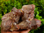 Natural Red Hematoid Quartz Clusters x 2 From Karoi, Zimbabwe - Toprock Gemstones and Minerals 