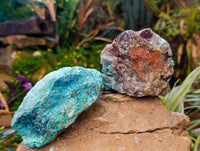 Natural Shattuckite with Chrysocolla and Malachite Cutting Material x 6 From Namibia