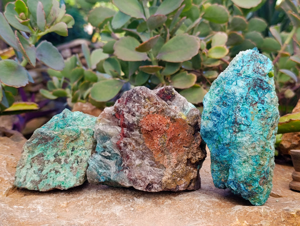 Natural Shattuckite with Chrysocolla and Malachite Cutting Material x 6 From Namibia