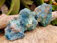 Natural Shattuckite with Chrysocolla and Malachite Cutting Material x 6 From Namibia