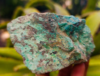 Natural Shattuckite with Chrysocolla and Malachite Cutting Material x 6 From Namibia