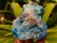 Natural Shattuckite with Chrysocolla and Malachite Cutting Material x 6 From Namibia