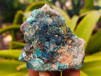 Natural Shattuckite with Chrysocolla and Malachite Cutting Material x 6 From Namibia