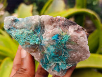 Natural Shattuckite with Chrysocolla and Malachite Cutting Material x 6 From Namibia