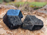 Natural Small Terminated Schorl Black Tourmaline Crystals with a little Hyalite Opal x 70 From Erongo, Namibia