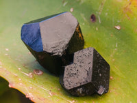 Natural Small Terminated Schorl Black Tourmaline Crystals with a little Hyalite Opal x 70 From Erongo, Namibia