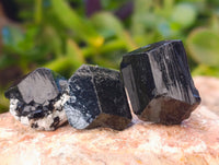 Natural Small Terminated Schorl Black Tourmaline Crystals with a little Hyalite Opal x 70 From Erongo, Namibia
