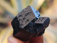 Natural Small Terminated Schorl Black Tourmaline Crystals with a little Hyalite Opal x 70 From Erongo, Namibia