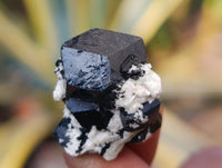 Natural Small Terminated Schorl Black Tourmaline Crystals with a little Hyalite Opal x 70 From Erongo, Namibia
