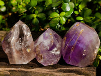 Polished Window Amethyst Quartz Crystals with Enhydro and Scepter x 3 From Akansobe, Madagascar