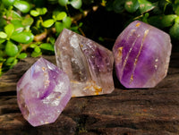 Polished Window Amethyst Quartz Crystals with Enhydro and Scepter x 3 From Akansobe, Madagascar