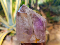 Polished Window Amethyst Quartz Crystals with Enhydro and Scepter x 3 From Akansobe, Madagascar