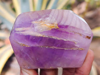 Polished Window Amethyst Quartz Crystals with Enhydro and Scepter x 3 From Akansobe, Madagascar