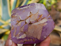Polished Window Amethyst Quartz Crystals with Enhydro and Scepter x 3 From Akansobe, Madagascar
