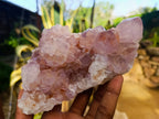 Natural Sunburst Cactus Flower Amethyst Spirit Quartz Clusters x 2 From South Africa - Toprock Gemstones and Minerals 