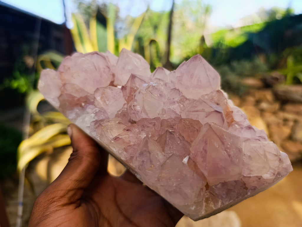 Natural Sunburst Cactus Flower Amethyst Spirit Quartz Clusters x 2 From South Africa - Toprock Gemstones and Minerals 