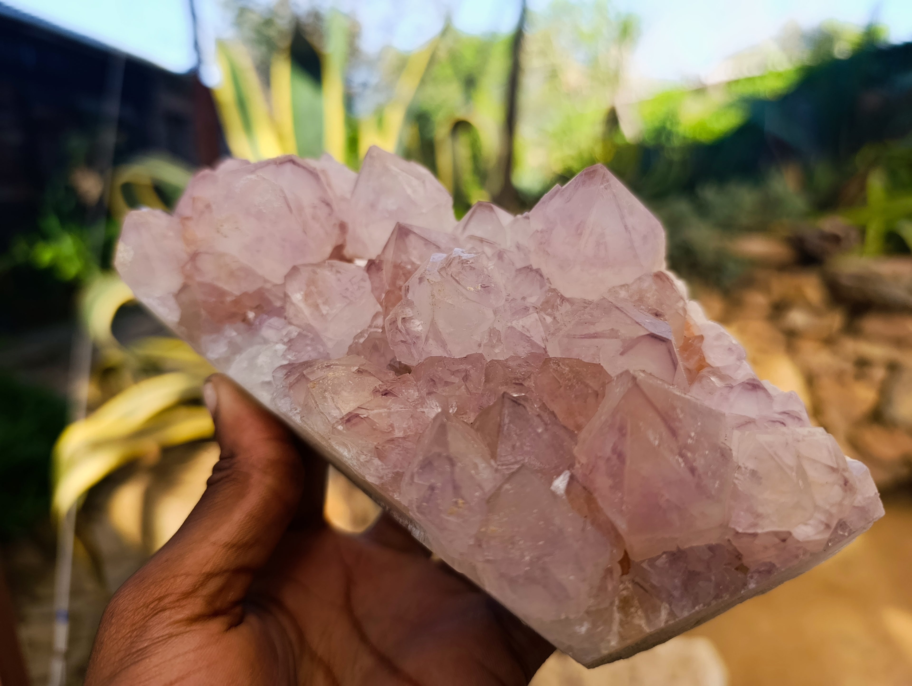 Natural Sunburst Cactus Flower Amethyst Spirit Quartz Clusters x 2 From South Africa - Toprock Gemstones and Minerals 
