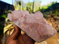 Natural Sunburst Cactus Flower Amethyst Spirit Quartz Clusters x 2 From South Africa - Toprock Gemstones and Minerals 