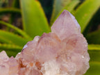 Natural Sunburst Cactus Flower Amethyst Spirit Quartz Clusters x 2 From South Africa - Toprock Gemstones and Minerals 