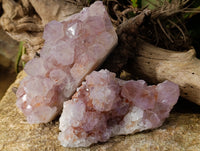 Natural Sunburst Cactus Flower Amethyst Spirit Quartz Clusters x 2 From South Africa - Toprock Gemstones and Minerals 