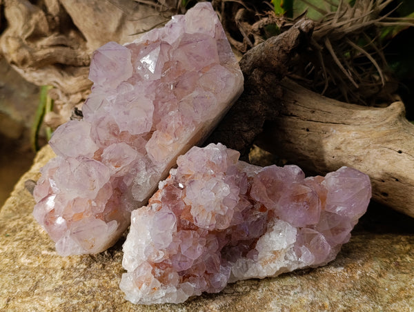 Natural Sunburst Cactus Flower Amethyst Spirit Quartz Clusters x 2 From South Africa