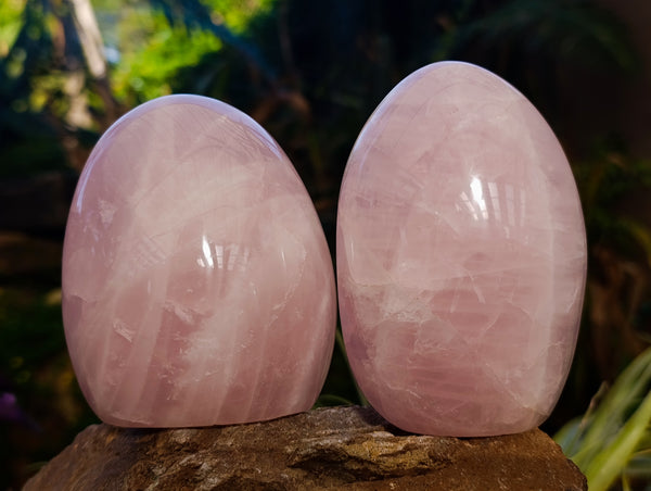 Polished Rose Quartz Standing Free Forms x 3 From Ambatondrazaka, Madagascar