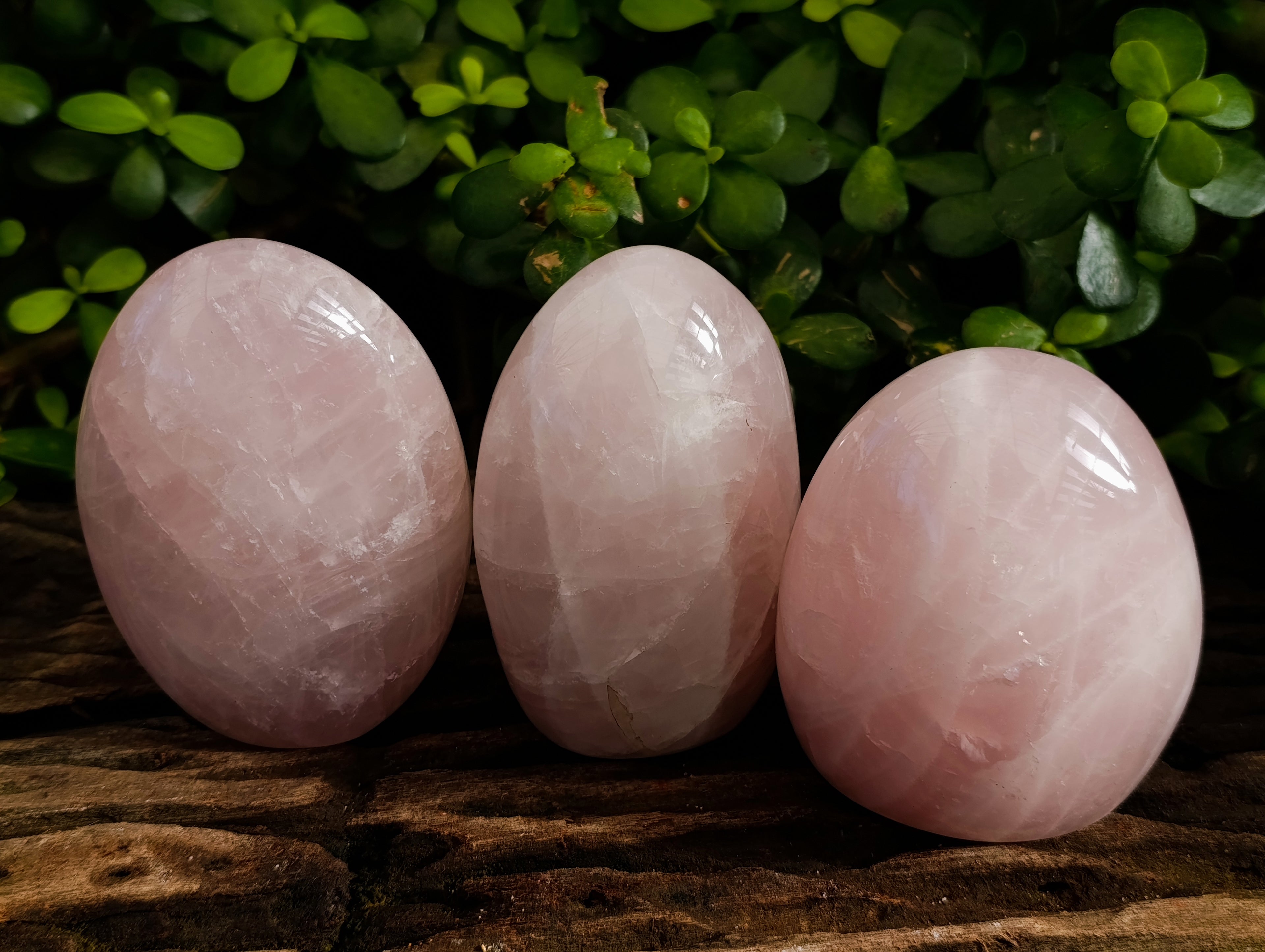 Polished Rose Quartz Standing Free Forms x 3 From Ambatondrazaka, Madagascar - Toprock Gemstones and Minerals 