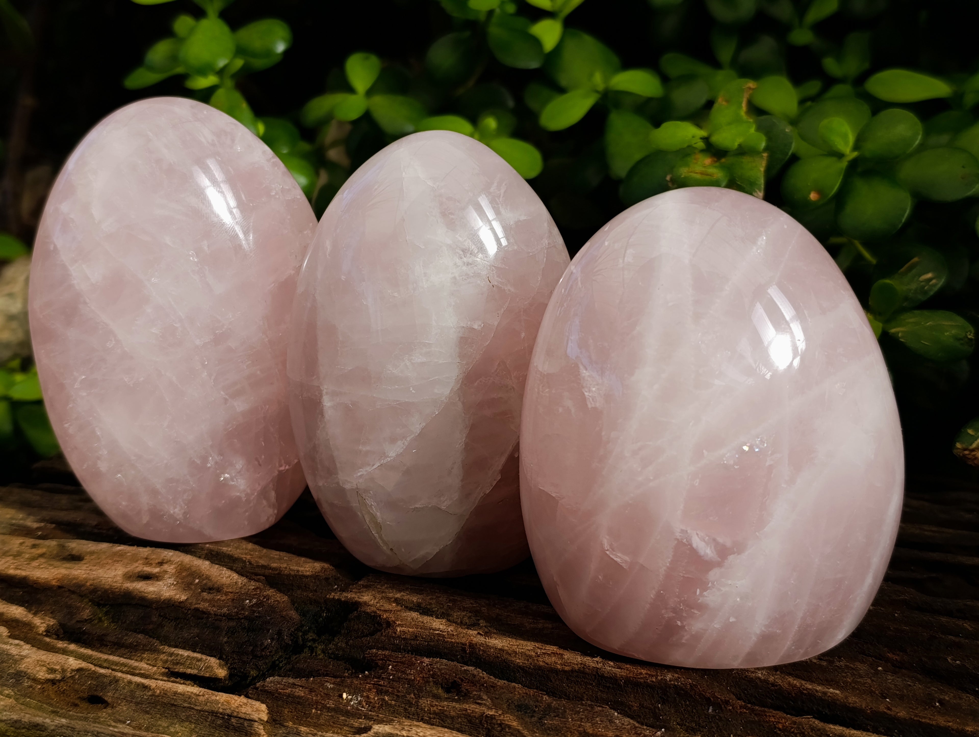Polished Rose Quartz Standing Free Forms x 3 From Ambatondrazaka, Madagascar - Toprock Gemstones and Minerals 