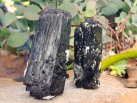 Natural XL Fibrous and Stepped Schorl Black Tourmaline Crystals x 3 From Erongo, Namibia