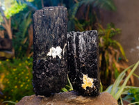 Natural XL Fibrous and Stepped Schorl Black Tourmaline Crystals x 3 From Erongo, Namibia
