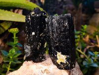 Natural XL Fibrous and Stepped Schorl Black Tourmaline Crystals x 3 From Erongo, Namibia