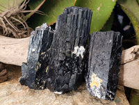 Natural XL Fibrous and Stepped Schorl Black Tourmaline Crystals x 3 From Erongo, Namibia