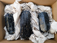 Natural XL Fibrous and Stepped Schorl Black Tourmaline Crystals x 3 From Erongo, Namibia