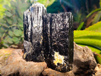 Natural XL Fibrous and Stepped Schorl Black Tourmaline Crystals x 3 From Erongo, Namibia