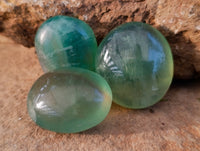 Polished Green Fluorite Palm Stones x 35 From Madagascar