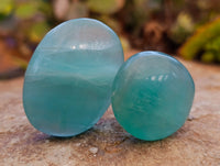 Polished Green Fluorite Palm Stones x 35 From Madagascar