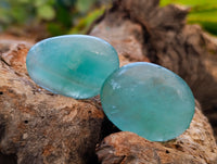 Polished Green Fluorite Palm Stones x 35 From Madagascar