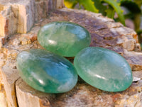 Polished Green Fluorite Palm Stones x 35 From Madagascar