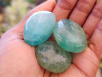 Polished Green Fluorite Palm Stones x 35 From Madagascar
