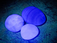 Polished Green Fluorite Palm Stones x 35 From Madagascar